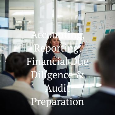 Businesswoman presenting financial and audit processes to colleagues in a modern office.
