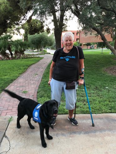 An older woman with a cane  happily walking with her service dog.