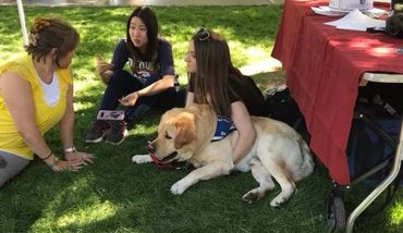 Three people talking while sitting in the grass with a yellow lab service dog.
