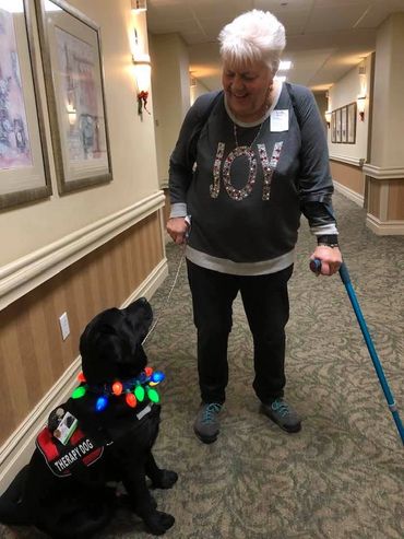 A woman with a cane is taking her therapy dog on a visit during the holidays.