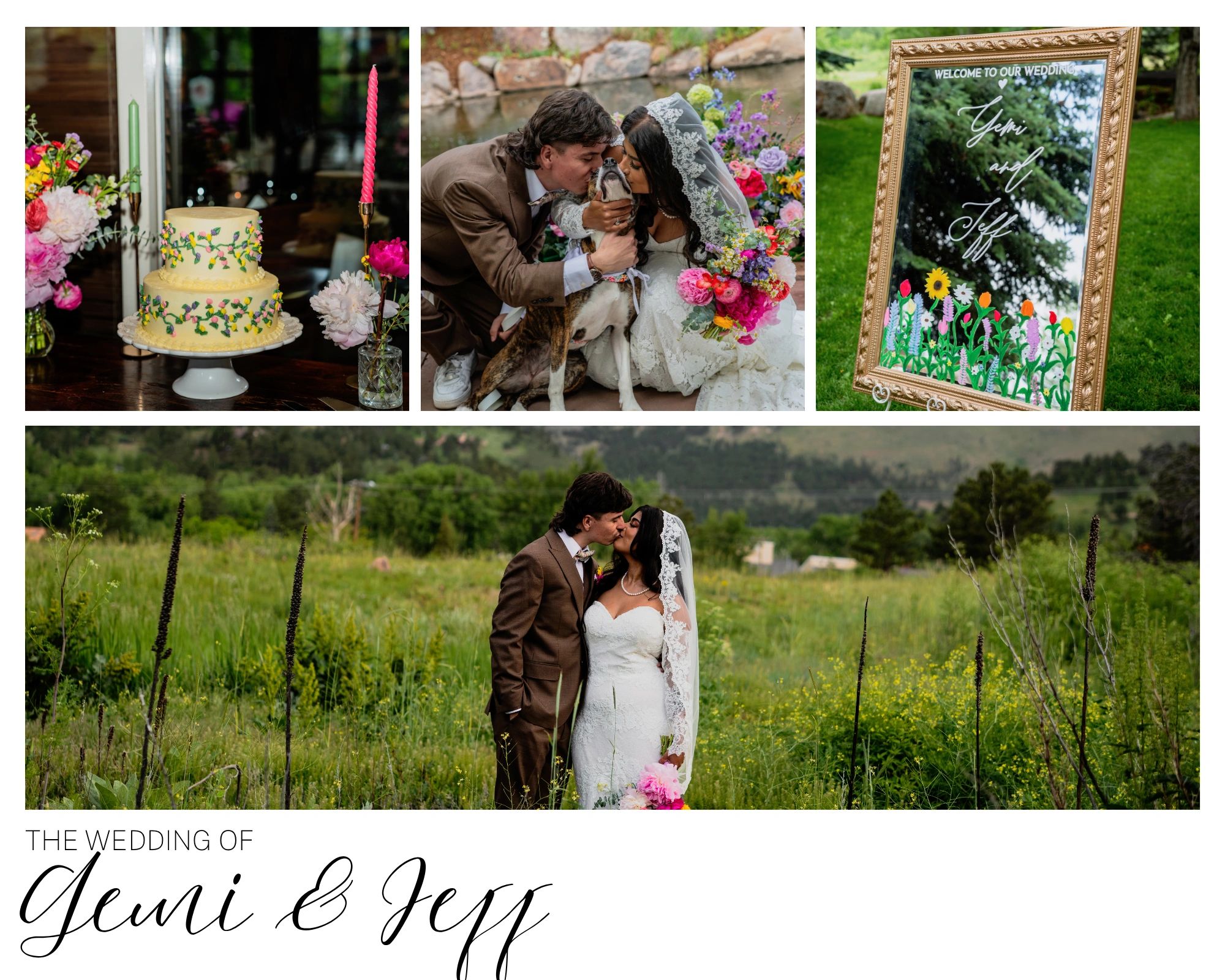 Wedding scenes with a cake, couple with dog, and outdoor portraits.