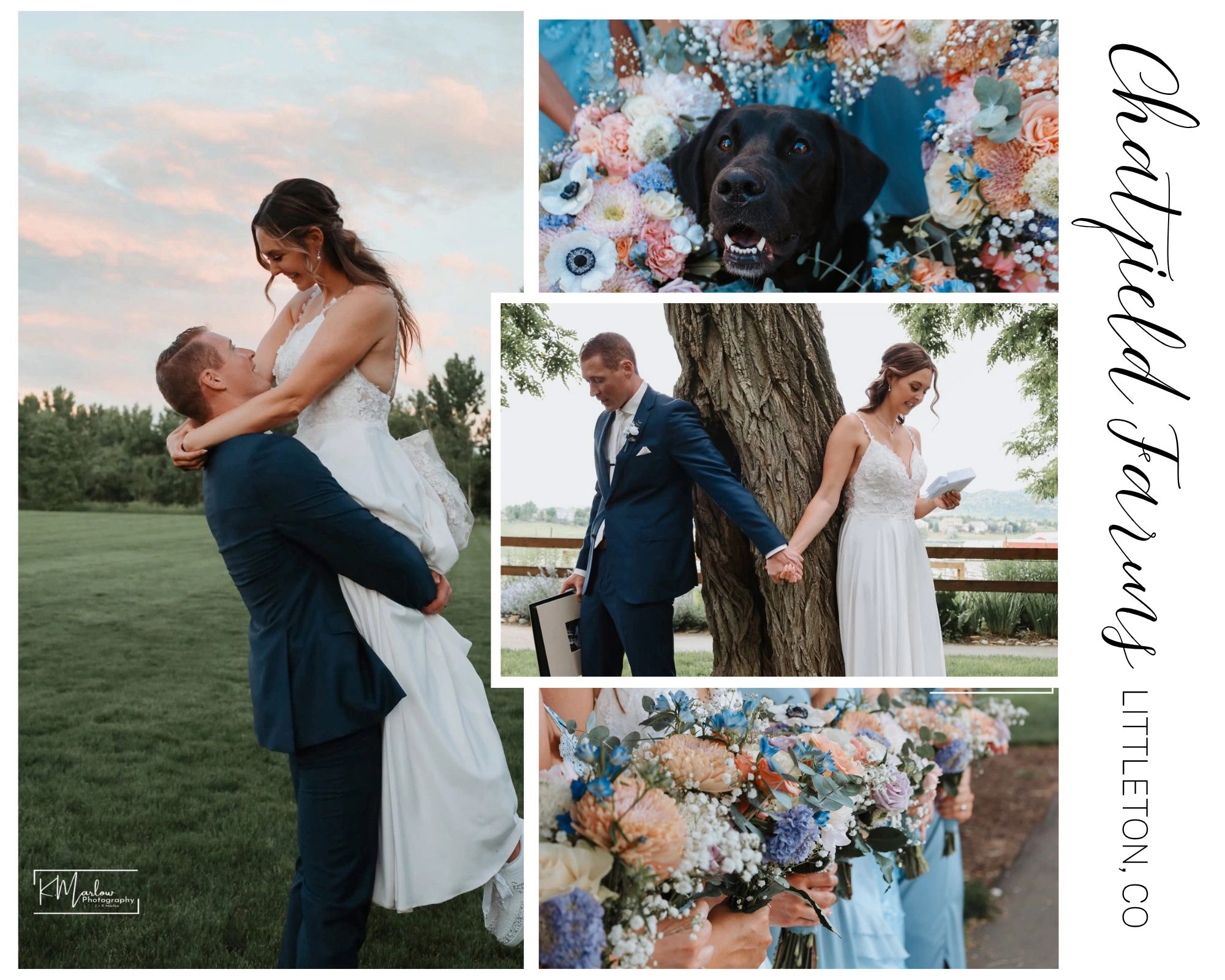 Joyful wedding moments with the bride, groom, floral arrangements, and a dog.