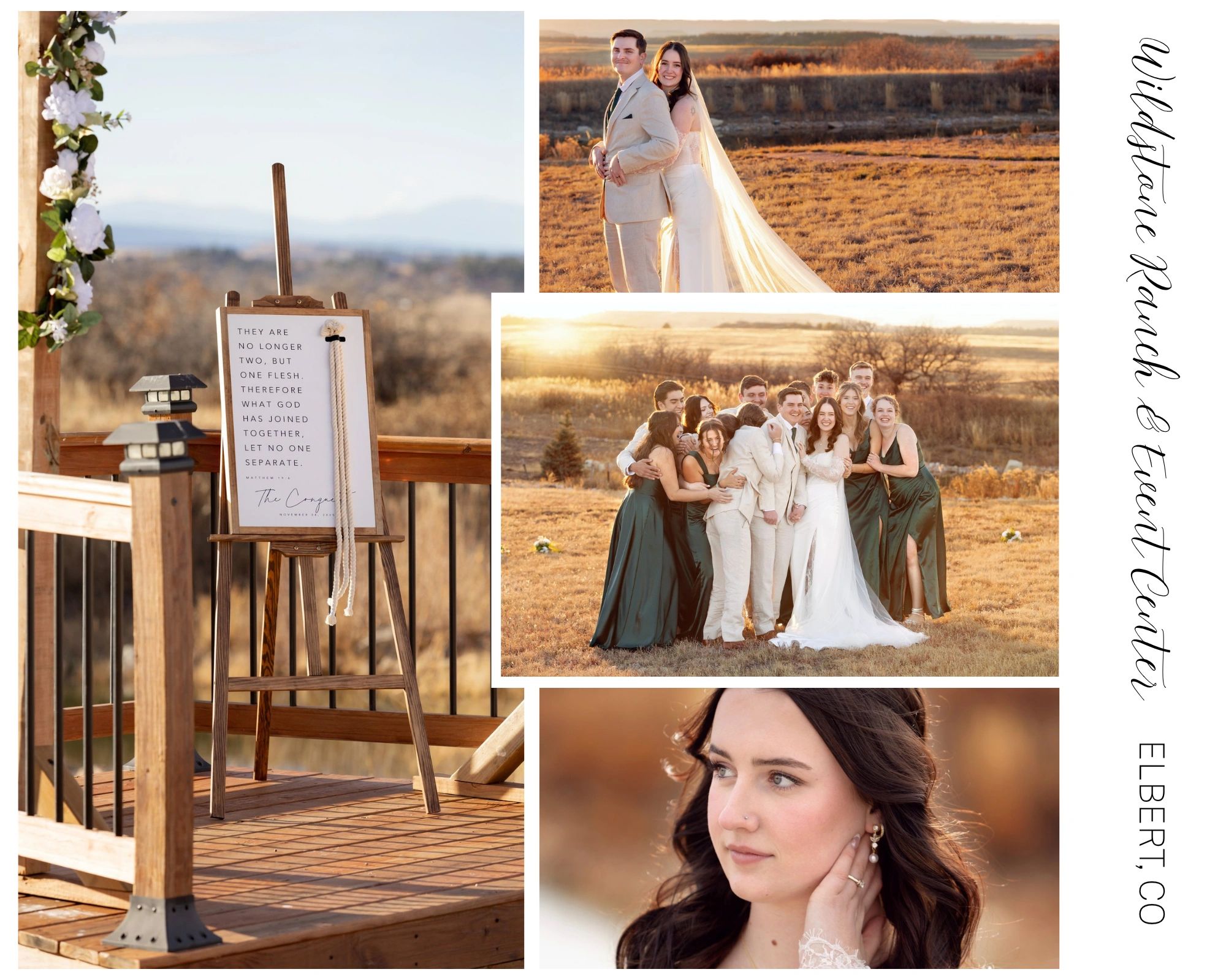 Wedding scenes at Wildstour Ranch with couple, group, and bride portraits.