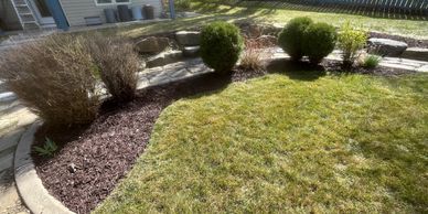 a green backyard with big mulch beds and shrubs that was just freshly cleaned up in SW calgary