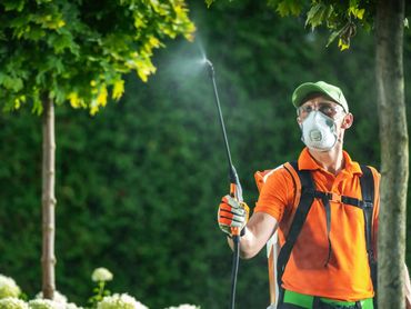 Landscaper spraying garden foliage