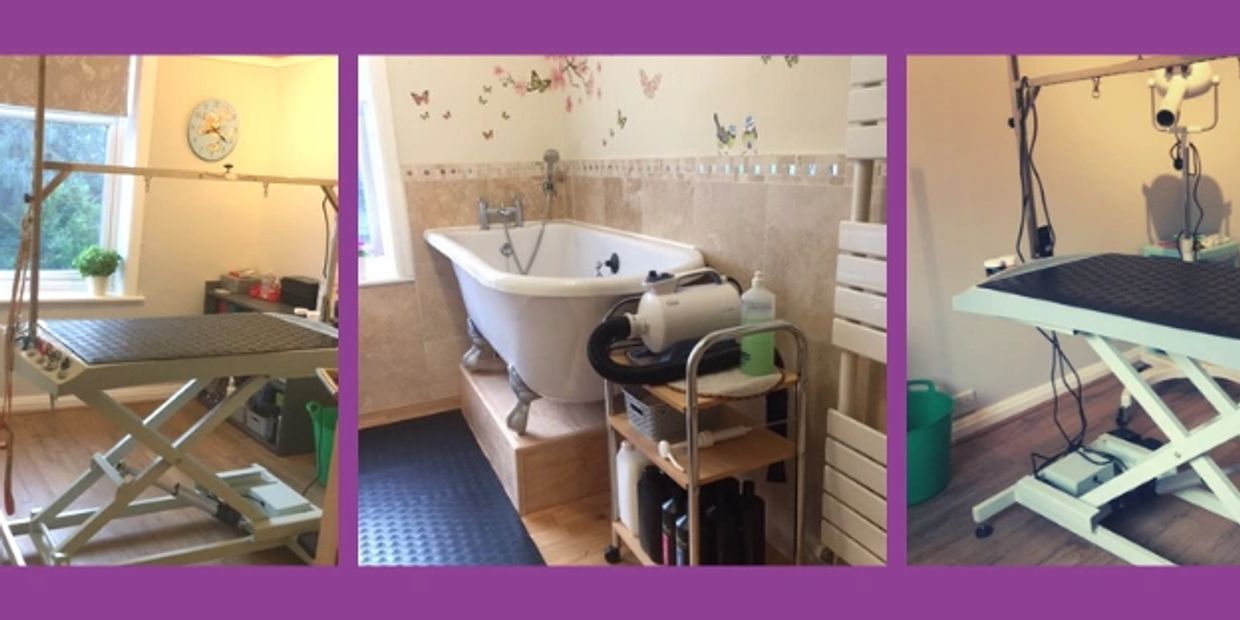 A selection of images showing the dog grooming room and dog grooming bath at Happy Paws