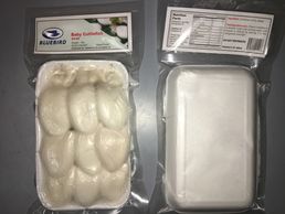 Seafood castle, PAFCO, h&t, Sunnyvale seafood corp, nautilus seafood, cuttlefish baby tray pack indi