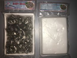 BABY WHOLE COOKED SNAIL VIETNAM FISH DISTRIBUTOR SEAFOOD J DELUCA FISH NAUTILUS SEAFOOD CA NY TX FL