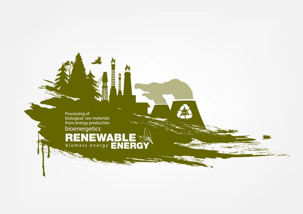 Biomass Fuel
Green Renewable Energy