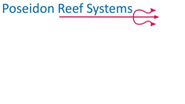 Poseidon Reef Systems