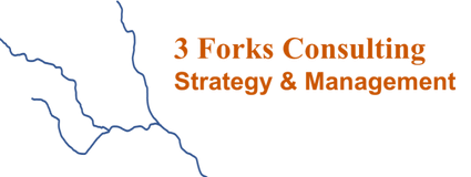 3 Forks Consulting