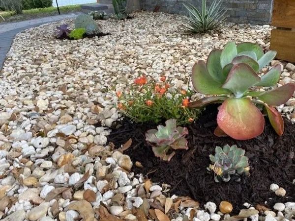 Landscaping with rock bed and plants at Auburndale Florida home