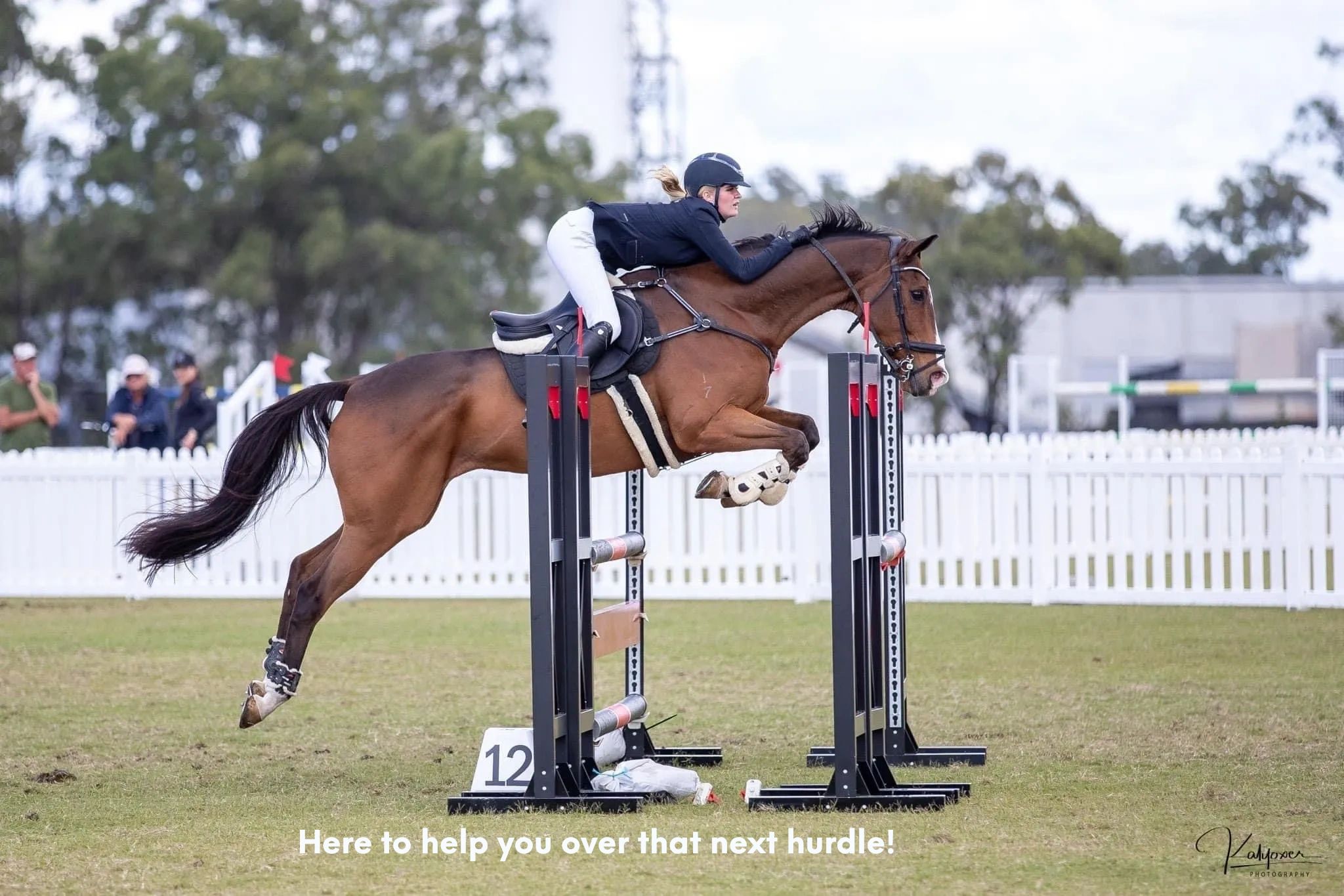 Here to help you over that next hurdle!