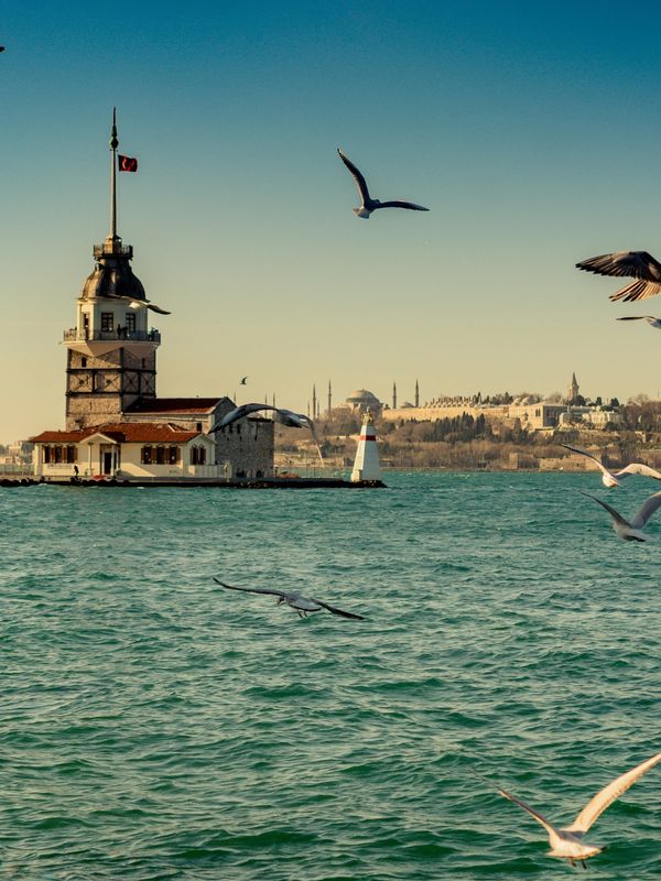 Maiden's Tower on a sunny day with seagulls flying over the sea.