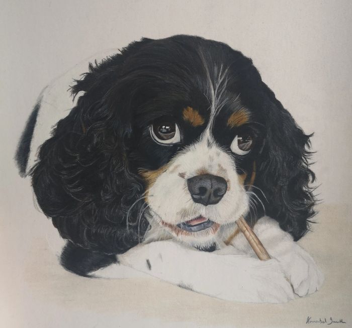Annabel's Art, pencil drawing of a dog - Pickles
