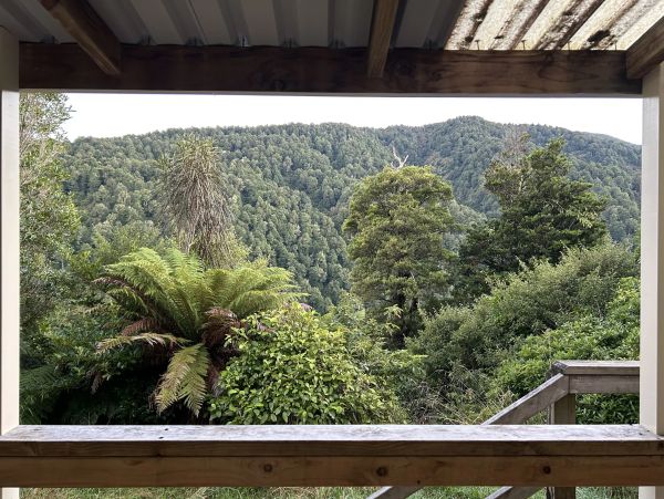 View of a lush mountain forest framed by a wooden porch.
