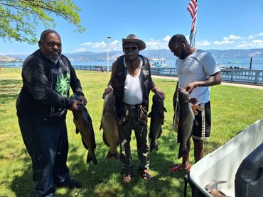 Look at the big catfish