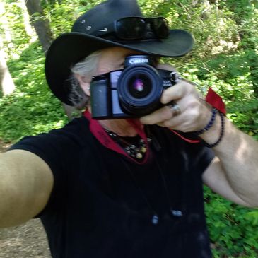 Spirit Of The Wolf Photography - Pine Lake Shoot