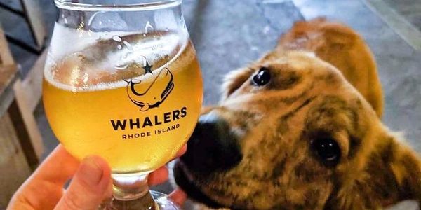 Dog sniffing a Whaler's mug of beer.