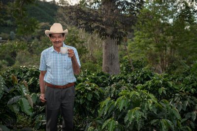 A man holding a coffee cup on a coffee farm