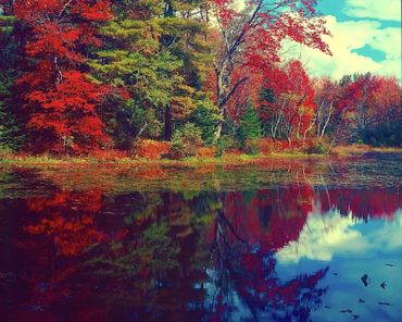 Brilliant autumn colors reflected in Runaround Pond