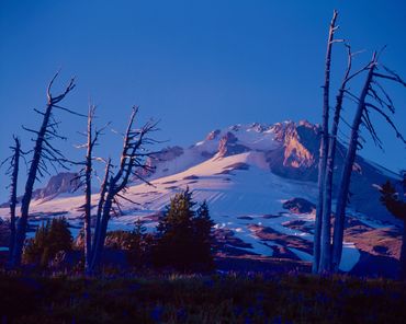 Landscape, Mount Hood