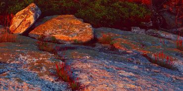Early morning light flooding a scene of island rocks and grasses