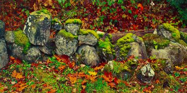 An old country wall covered with moss and fallen leaves