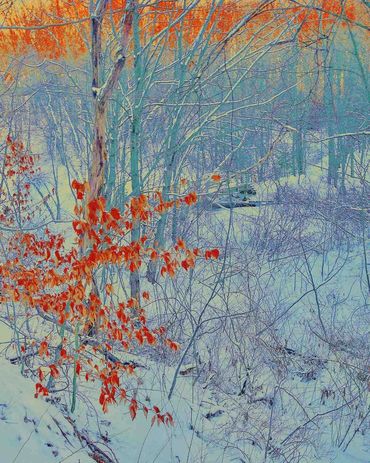 Residual leaves catching the sunset in a snow-covered park