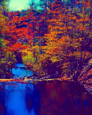 Vibrant autumn foliage above pool and waterfall at Runaround Brook