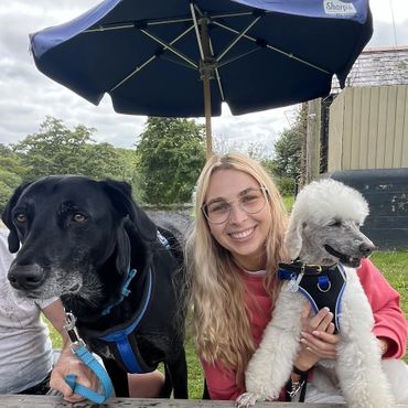 Young woman smiling with two dogs under a large blue umbrella outdoors.