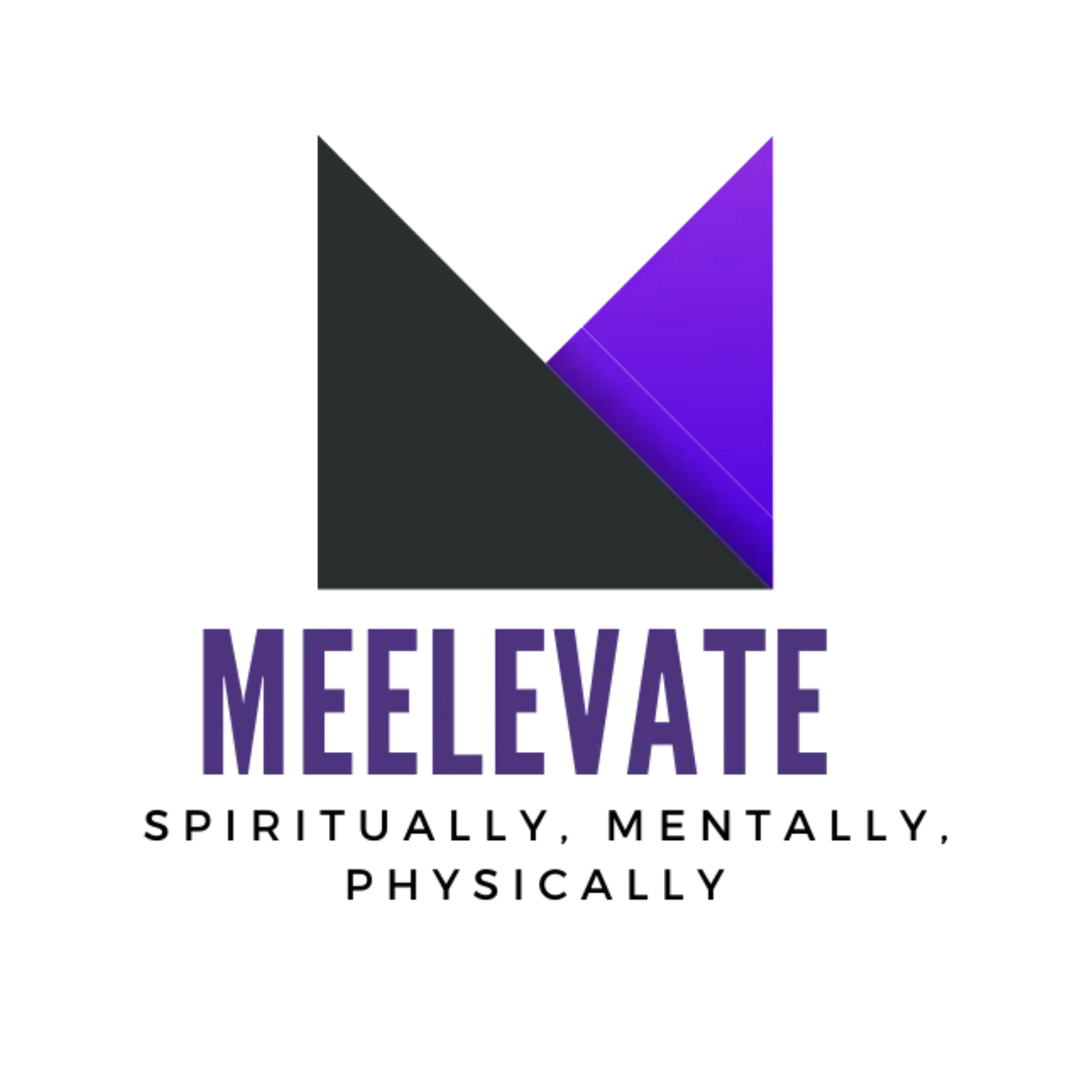 OUR COMPANY