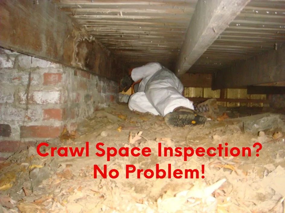 Philadelphia rodent mice pest control exterminator