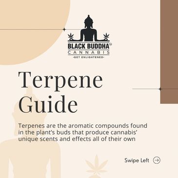 Terpene Guide Cover