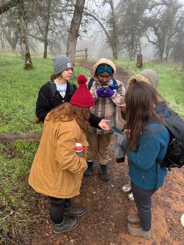 Mushroom mischief class