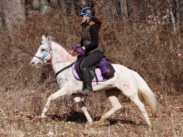 Loretta and Confetti during a 25 mile limited distance endurance ride. 