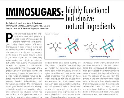 Scientific diagram showing glucose and iminoglucose structures with text about natural iminoglucars.