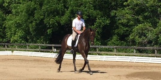 Brookwood Schooling Show Dressage Show Jumpers Show Hunters Equitation Combined Tests