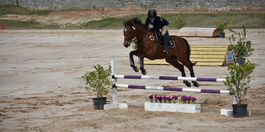Grand Prix Ring 3-phase show jumping combined tests Thoroughbred Classic and Schooling Show