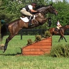 Equestrian Competition in 8 disciplines: Dressage, Eventing, Show Hunters, Show Jumpers, Equitation