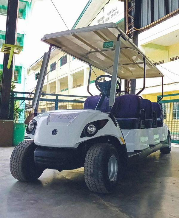 electric golf cart buggy