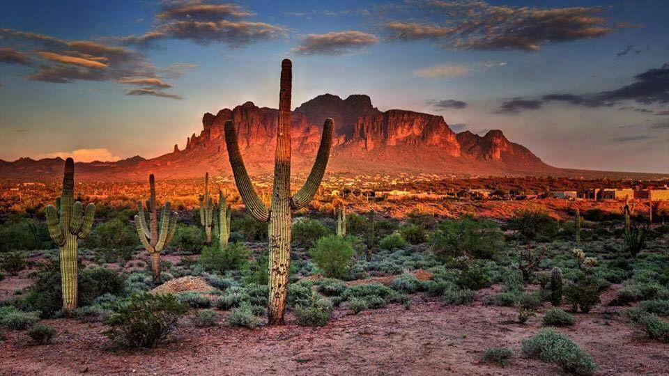 Snowbird Arizona Home Watch