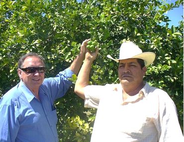 Two men standing by a fruit tree, holding green fruit.