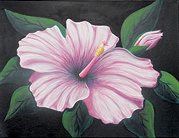 Hibiscus
