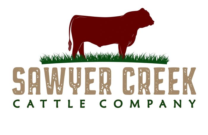 Shell Lake and Northern Wisconsin Pasture Raised Beef for cattle Ranch and sustainable beef options