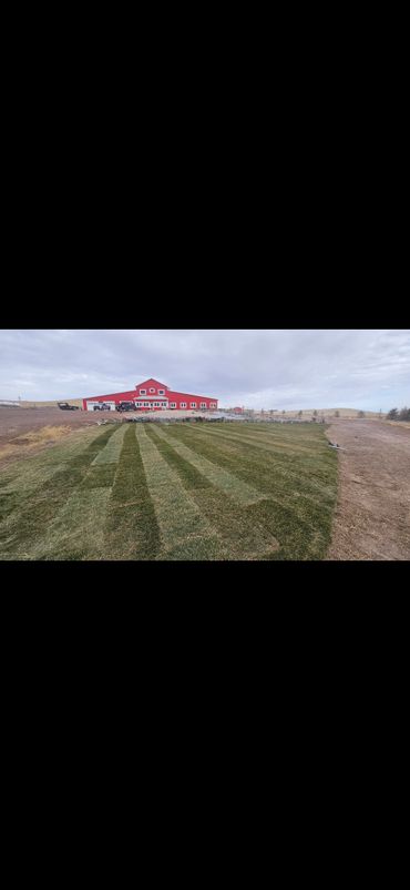 Freshly laid sod with striped mowing pattern in front of a large red barn on a cloudy day.