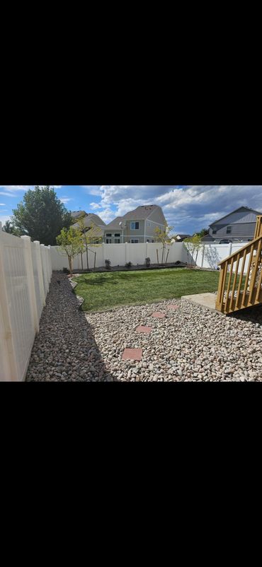 A backyard with a pebble pathway, green lawn, and small trees along a white fence.