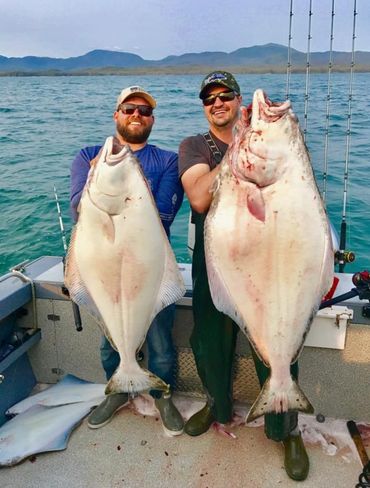 Halibut fishing, ketchikan halibut fishing, alaska fishing, ketchikan fishing charters, Ketchikan