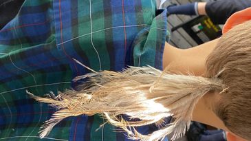 Emu feather hair decorations