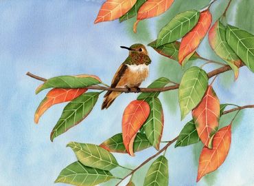 Diane Pope painting - A hummingbird perches on a branch surrounded by autumn colors and fall leaves